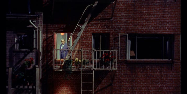 Rear Window (1954)