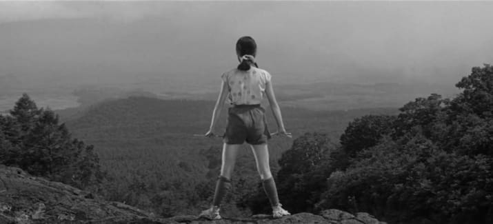 The Hidden Fortress (1958)
