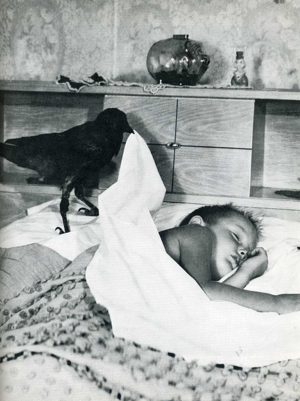 44 fotos em preto e branco que desafiam a explicação, parte 43