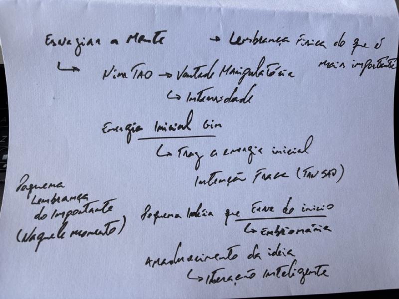 Anotações de Thiago Silva sobre o Siu Nim Tau: esvaziar a mente, vontade manipulatória, o Ging como intenção fraca, a pequena lembrança do importante e o amadurecimento da ideia